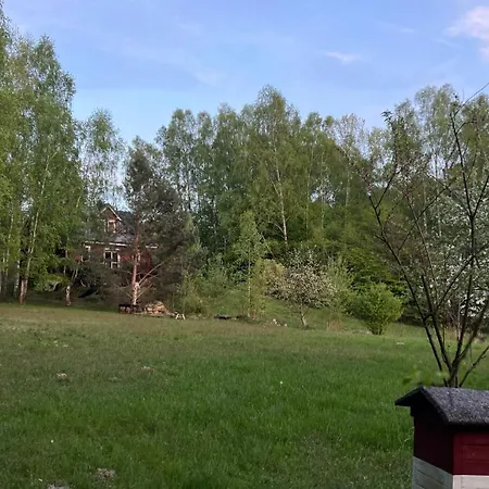 Full Private Refuge House Among The Birches