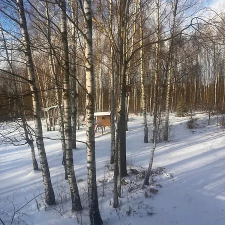 Feriehus Full Private Refuge House Among The Birches *