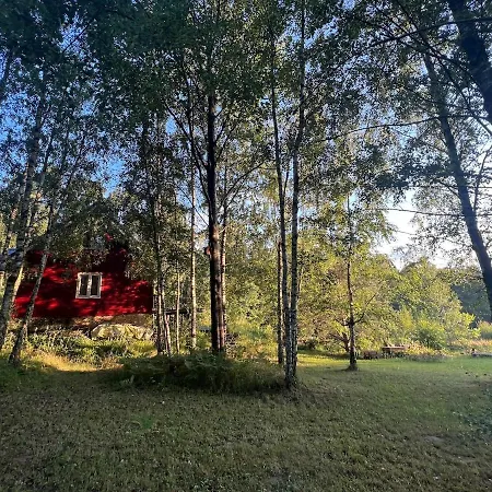 Full Private Refuge House Among The Birches *